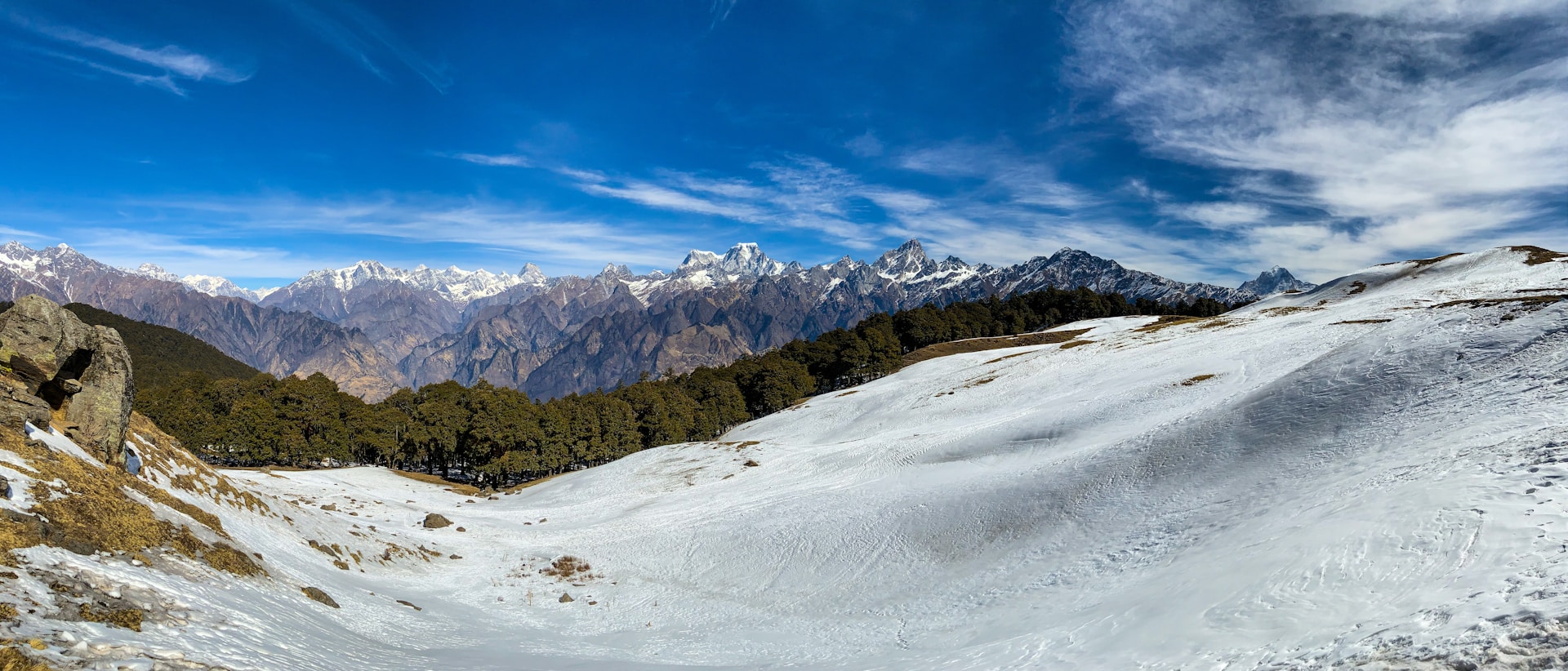 Auli