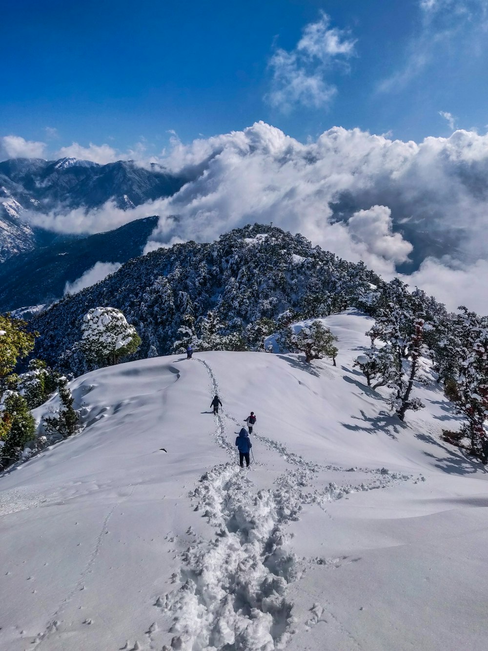 Kedarnath valley